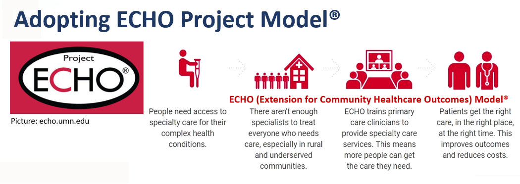 Adopting Project ECHO Model