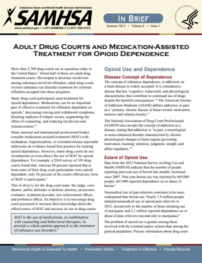 Cover of adult drug courts and medication-assisted treatment for opioid dependence 