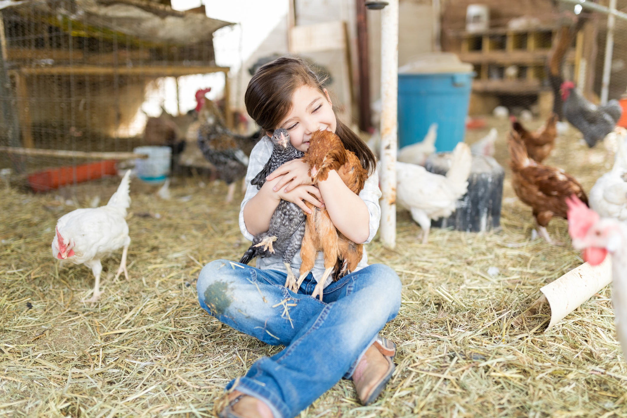 little girl hugging chickens