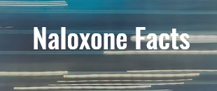 Naloxone Facts graphic