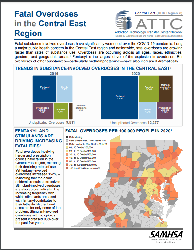 Screenshot of Fatal Overdoses in the Central East Region factsheet