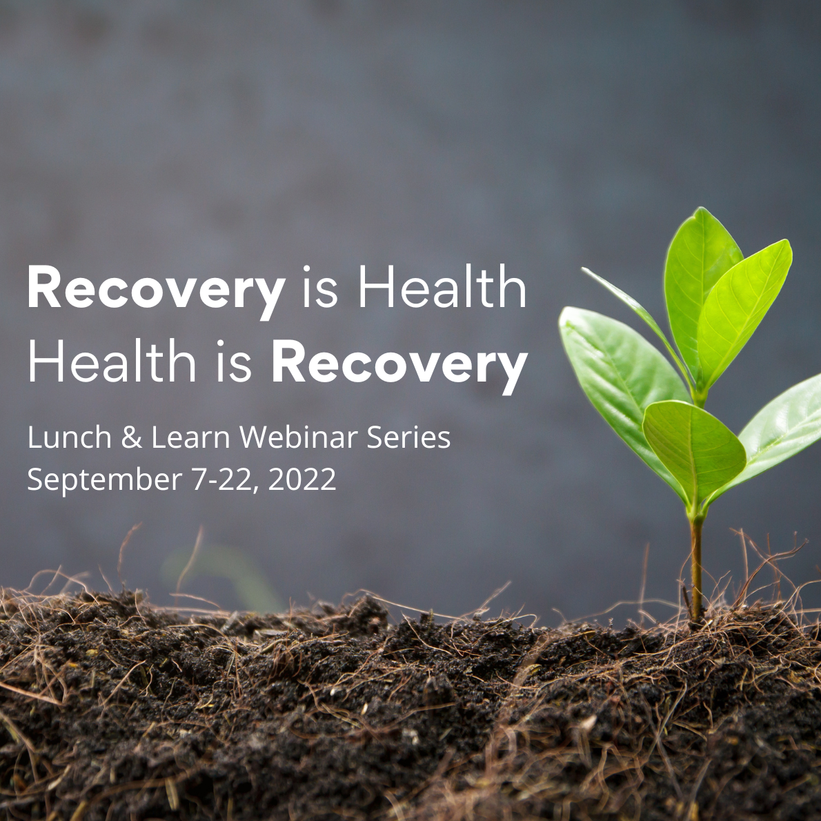 Recovery is Health, Health is Recovery logo