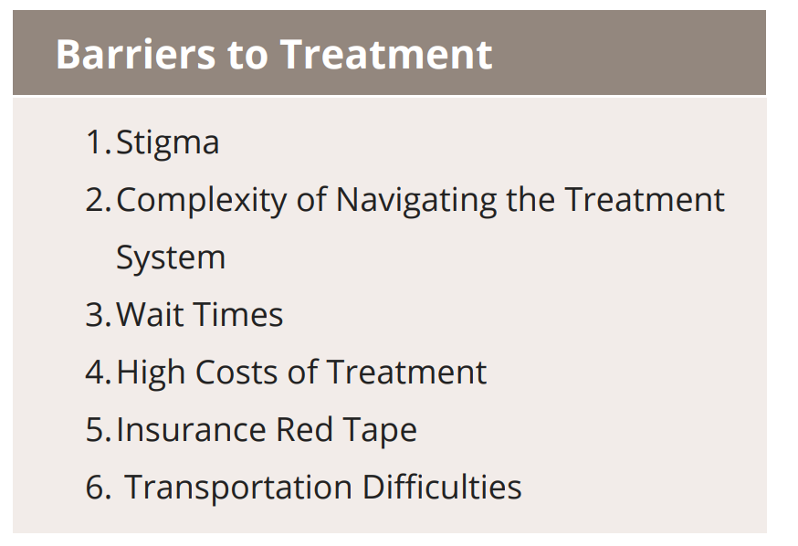 Image of text: Barriers to Treatment list of six items