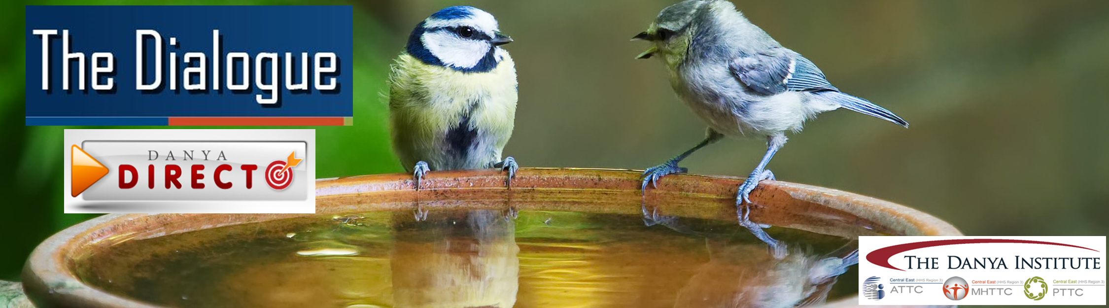 Two bluebirds chatting at a bird bath