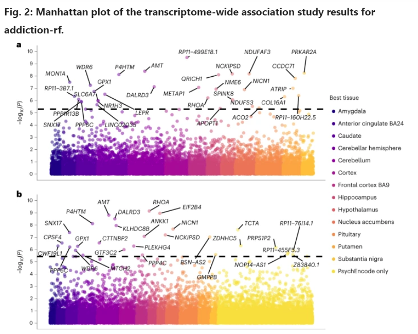 Manhattan plot of the transcriptome-wide association study results for addiction-rf.